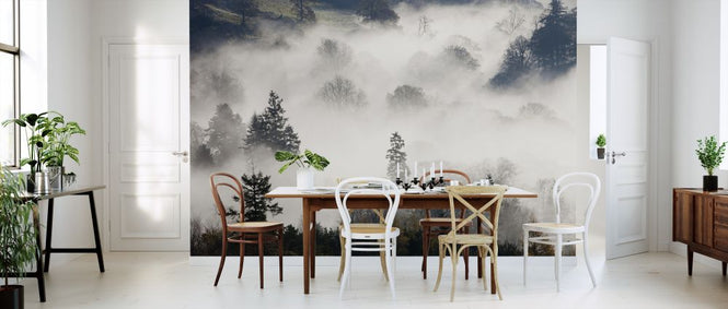 PHOTOWALL / Woodland Mist (e320144)