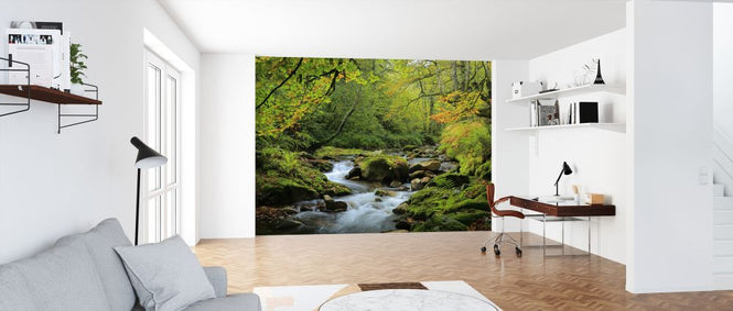 PHOTOWALL / River and Beech Woodland (e320145)