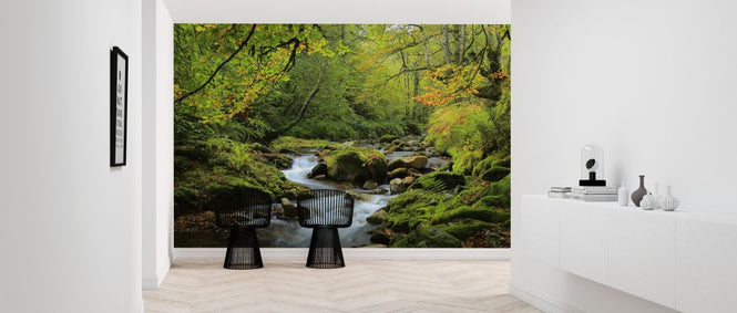 PHOTOWALL / River and Beech Woodland (e320145)
