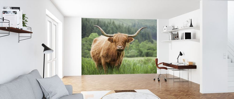 PHOTOWALL / Highland Cattle (e320152)