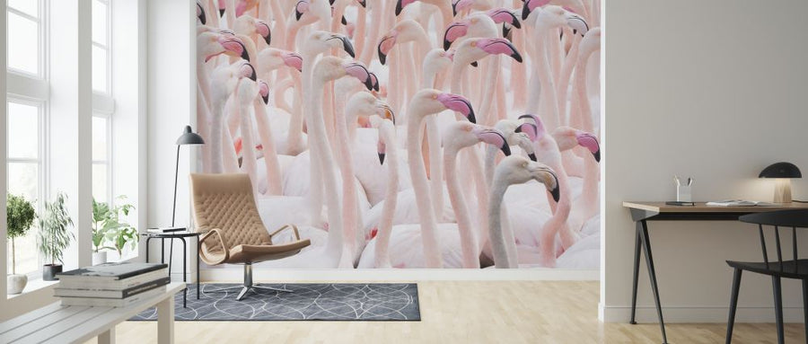 PHOTOWALL / Greater Flamingo Flock (e320154)