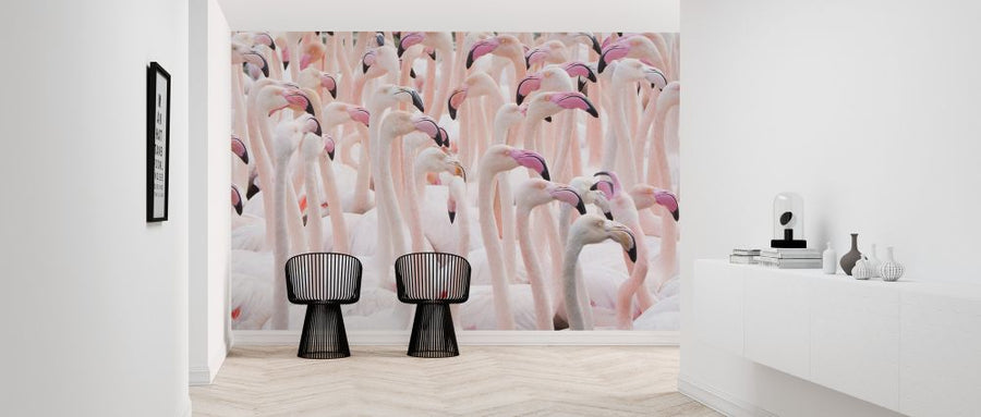 PHOTOWALL / Greater Flamingo Flock (e320154)