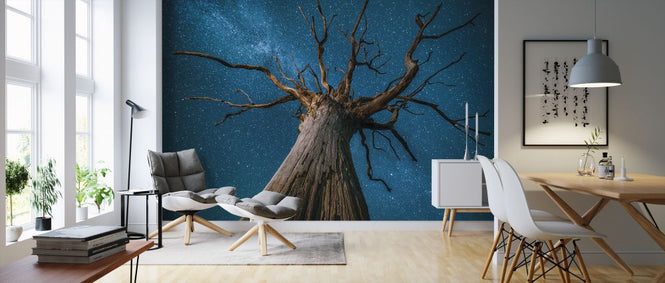 PHOTOWALL / Milky Way and Oak Tree (e320155)