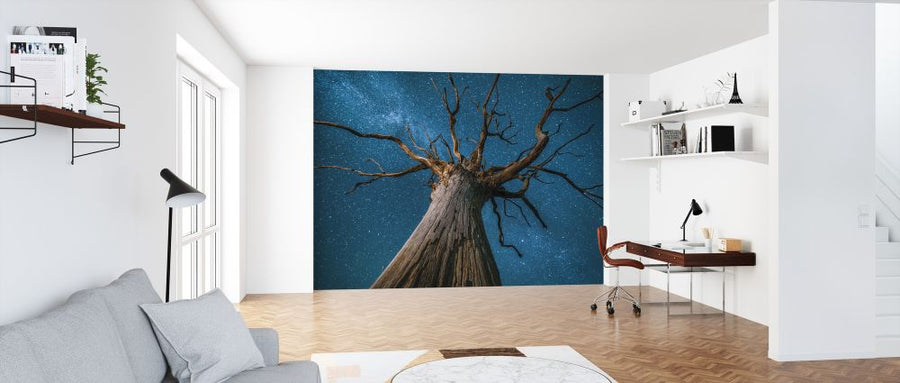 PHOTOWALL / Milky Way and Oak Tree (e320155)