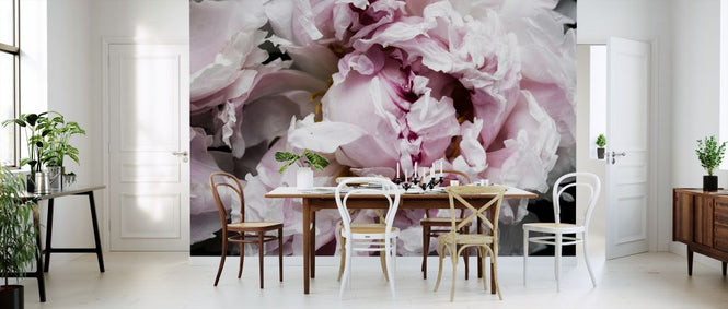 PHOTOWALL / Pink Peony Passion II (e320485)