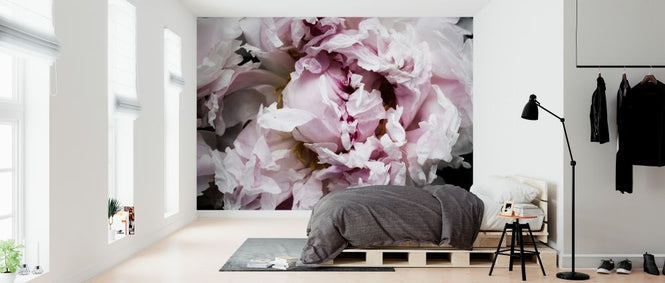 PHOTOWALL / Pink Peony Passion II (e320485)