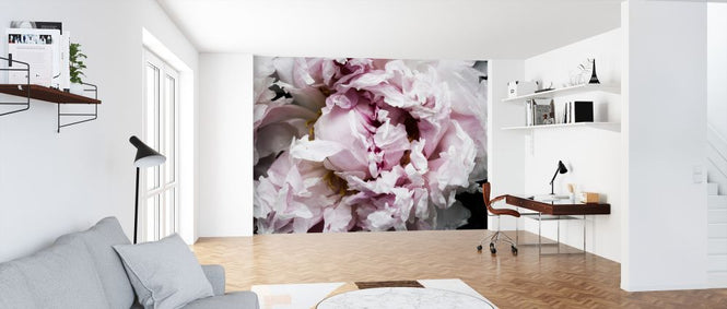 PHOTOWALL / Pink Peony Passion II (e320485)