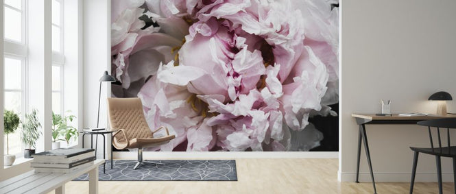 PHOTOWALL / Pink Peony Passion II (e320485)