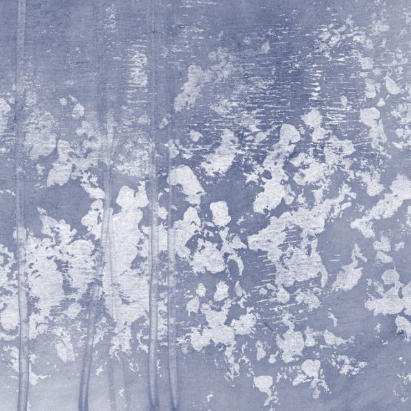 PHOTOWALL / Indigo Rule (e320488)