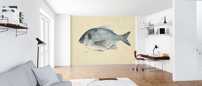 PHOTOWALL / Catch of the Day (e320455)