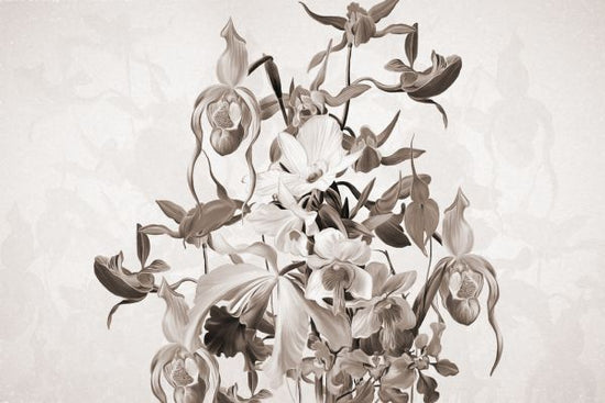 PHOTOWALL / Blooming Orchids - Sepia (e322840)