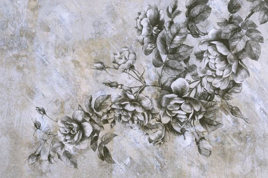 PHOTOWALL / Roses on Concrete Wall (e322858)