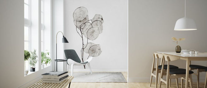 PHOTOWALL / Silverpenningar (e323685)