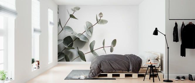 PHOTOWALL / Eucalyptus (e324139)