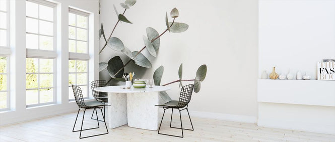 PHOTOWALL / Eucalyptus (e324139)
