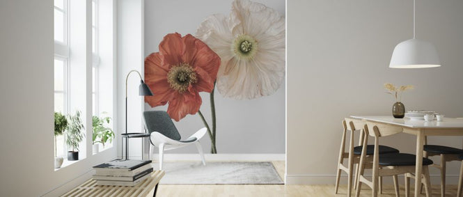 PHOTOWALL / Vallmo 3 (e324146)