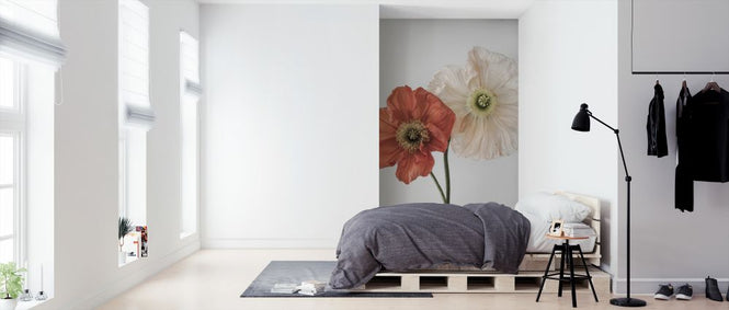 PHOTOWALL / Vallmo 3 (e324146)