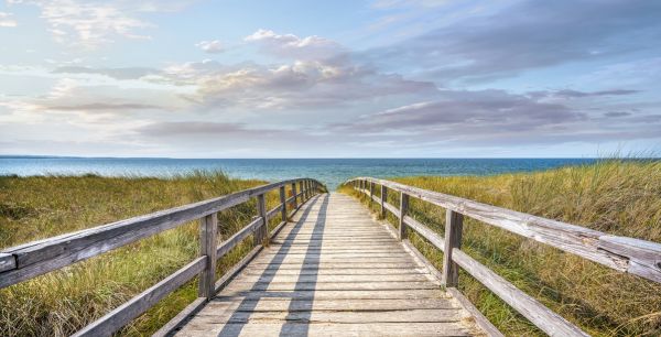 PHOTOWALL / Boardwalk (e324185)