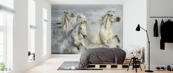 PHOTOWALL / Galloping Horses (e324188)
