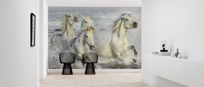PHOTOWALL / Galloping Horses (e324188)