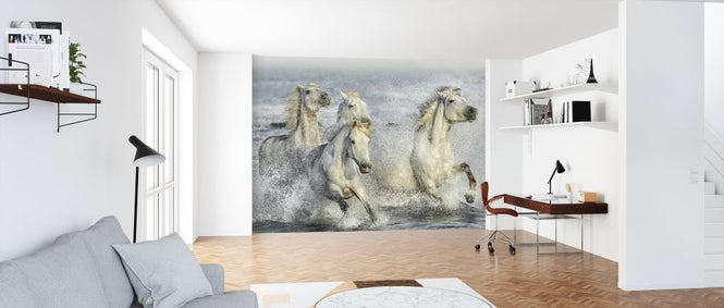 PHOTOWALL / Galloping Horses (e324188)