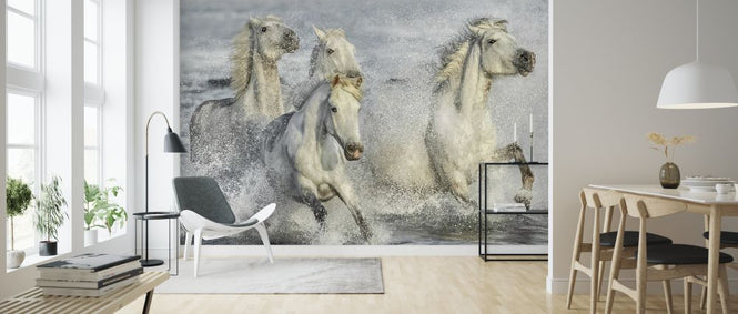 PHOTOWALL / Galloping Horses (e324188)