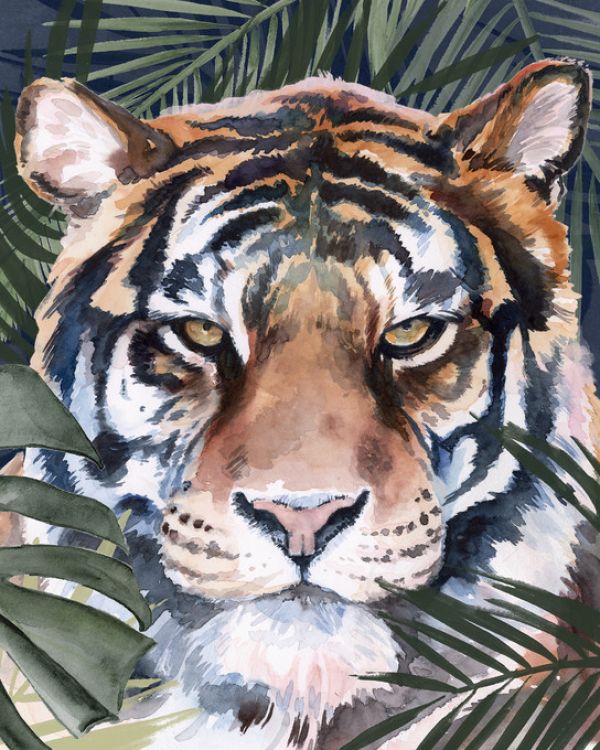 PHOTOWALL / Jungle Cat (e321334) | 輸入壁紙専門店 WALPA – WALPA.jp