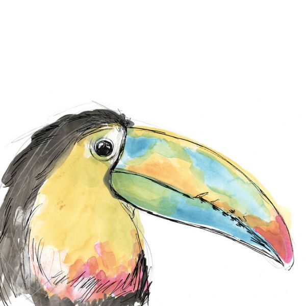 PHOTOWALL / Tropical Bird Portrait (e321352)