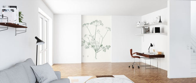 PHOTOWALL / Botanical Study in Sage (e321370)