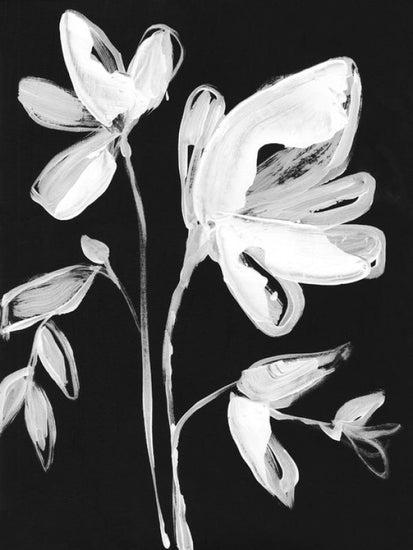 PHOTOWALL / White Whimsical Flowers (e321373)