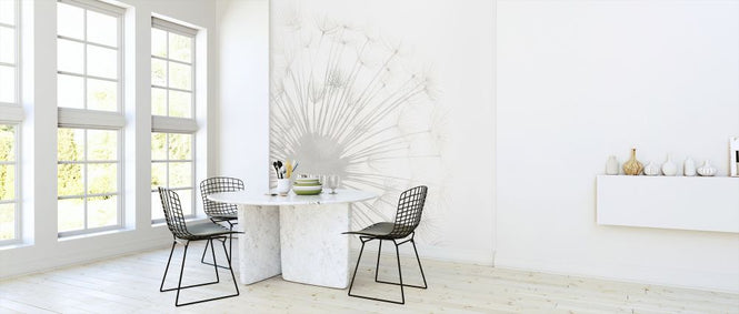 PHOTOWALL / Dandelion Whisper (e321385)