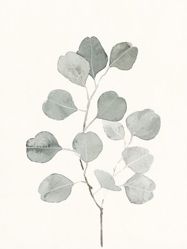 PHOTOWALL / Delicate Sage Botanical (e321390)