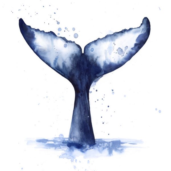PHOTOWALL / Whale Wave (e321394)