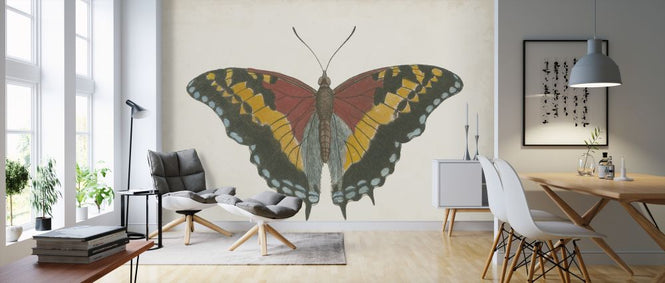 PHOTOWALL / Beautiful Butterfly II (e321402)
