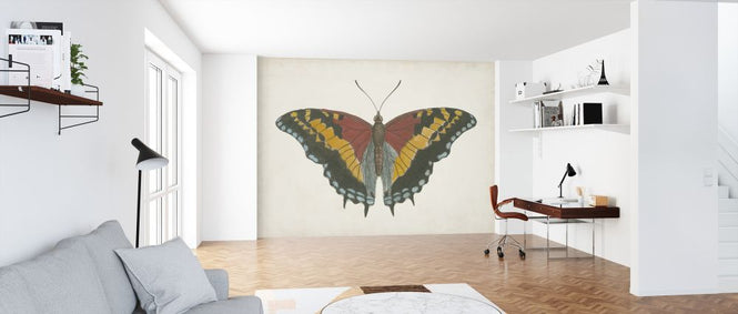 PHOTOWALL / Beautiful Butterfly II (e321402)