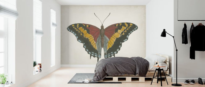 PHOTOWALL / Beautiful Butterfly II (e321402)