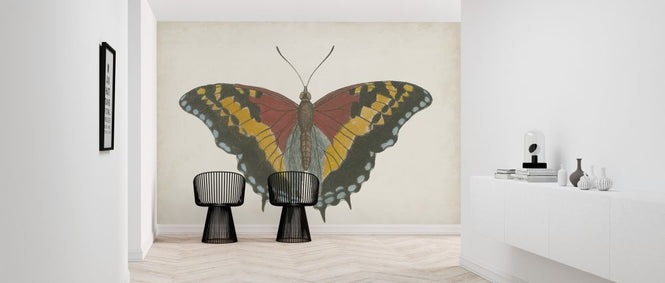 PHOTOWALL / Beautiful Butterfly II (e321402)