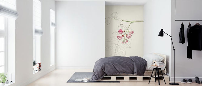 PHOTOWALL / Watercolor Leaf Sketches (e321409)