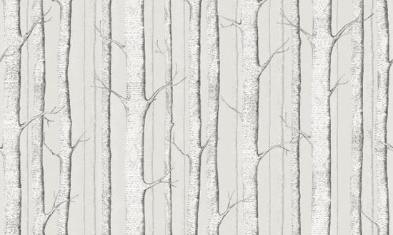 PHOTOWALL / Birch Trees - Soft Begie (e323694)