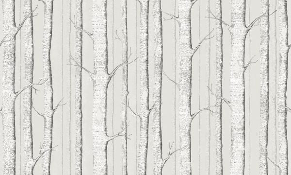 PHOTOWALL / Birch Trees - Soft Begie (e323694)