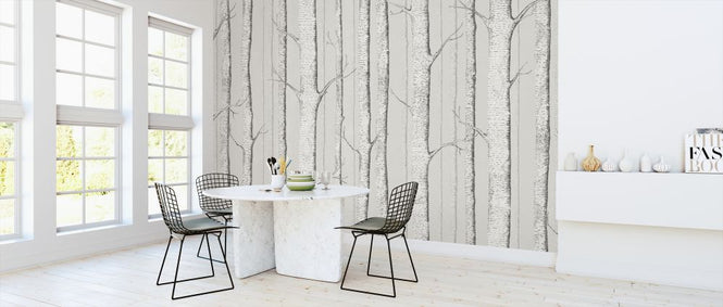 PHOTOWALL / Birch Trees - Soft Begie (e323694)