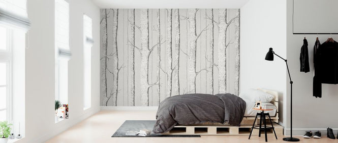 PHOTOWALL / Birch Trees - Soft Begie (e323694)