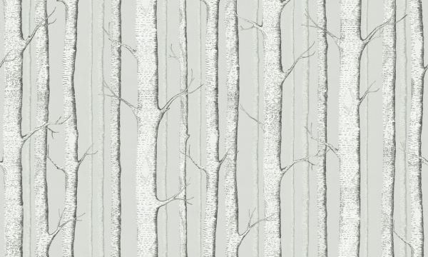 PHOTOWALL / Birch Trees - Soft Green (e323696)