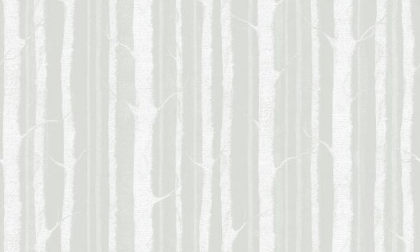 PHOTOWALL / Birch Trees - Soft Green White (e323697)