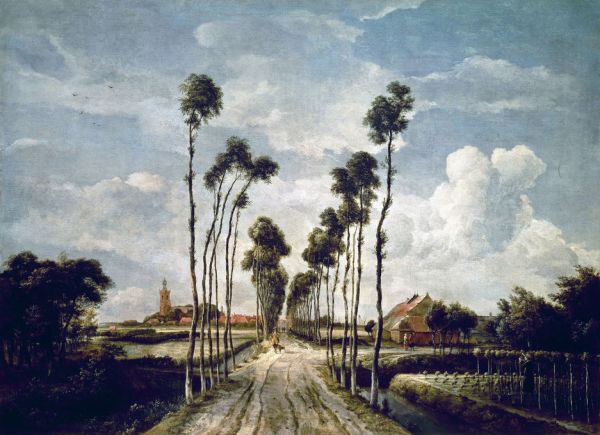 PHOTOWALL / Avenue at Middelharnis - Infographics (e322007)