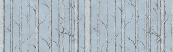 PHOTOWALL / Tree Trunk IIII (e324828)