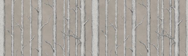 PHOTOWALL / Tree Trunk V (e324829)