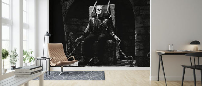 PHOTOWALL / Bride of Frankenstein - Infographics (e322066)