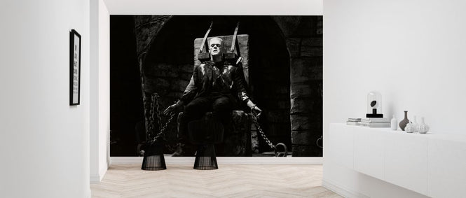 PHOTOWALL / Bride of Frankenstein - Infographics (e322066)
