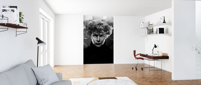 PHOTOWALL / Sylvia Scarlett - Infographics (e322106)